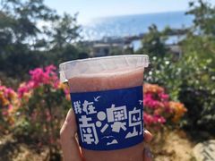 -南澳岛打卡果汁冰公司