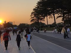 -二沙岛艺术公园
