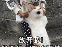 -风味烧烤(泰富店)