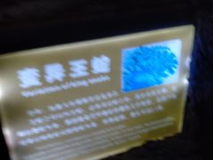 -南昌海洋公园