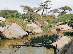 -罗红摄影艺术馆