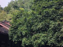 -阳明祠