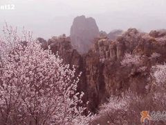 -狼牙山风景区