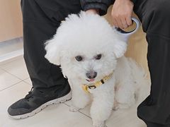 -美联众合动物医院·24h京西诊疗中心