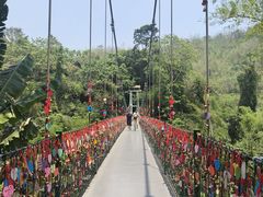 -西双版纳原始森林公园
