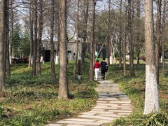 -自然谷恐龙园