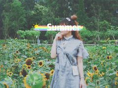 景点-天府芙蓉园