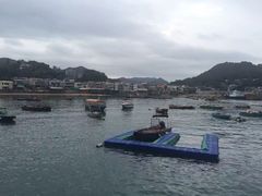 -南丫岛