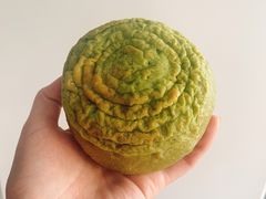 红豆嘟嘟-奈雪的茶(百盛店)
