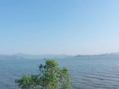 -深圳湾公园(南山区)