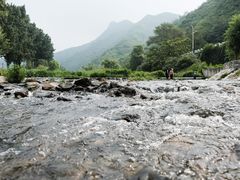 -荣德灶台鱼(圣泉寺店)