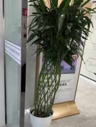 -悟空祛痘·诺奖技术专业店