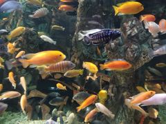 -太平洋海底世界