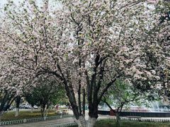 -山东师范大学(千佛山校区)