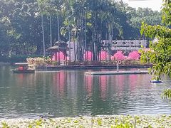 -荔湾湖公园