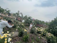 -祥源·阜阳生态乐园