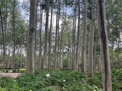 -仁和公园(顺义区)