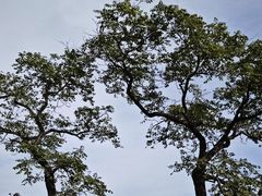 -石经山风景区