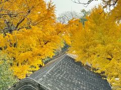 -阳台山自然风景区