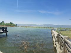 -野鸭湖国家湿地公园