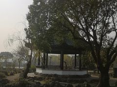 -无锡蠡湖国家湿地公园-蠡园
