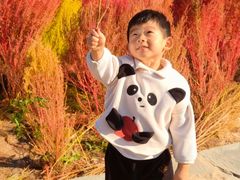 -天津东丽湖风景区