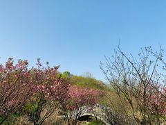 -南京市江宁方山