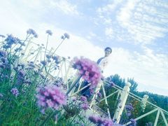 -北京东方普罗旺斯薰衣草庄园