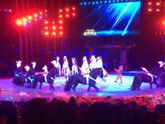 -珠海横琴长隆《卡卡虎奇遇记》