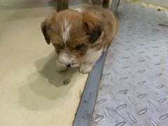 -三旗百汇商品城