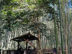 -野宫神社