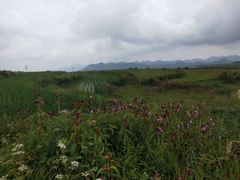 -贵州云顶草原民族风情园