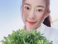 -合肥滨湖国家森林公园