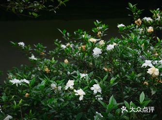 才有筹码去谈乐观与坚定