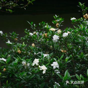 才有筹码去谈乐观与坚定