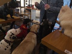 -萌喵咖啡屋(人民东路4号口M16商铺店)