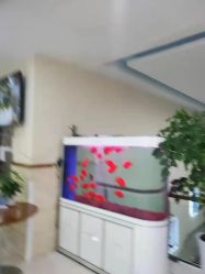 -成都军建医院·疤痕诊疗中心