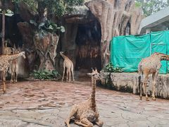 -长鹿旅游休博园