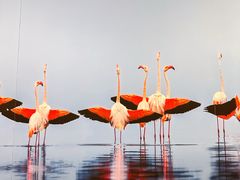 -罗红摄影艺术馆