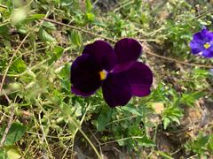 -艾溪湖湿地公园