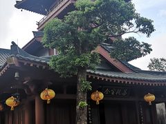 -东部华侨城