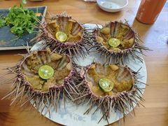 -海胆小馆(东北水饺·春柳店)