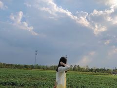-映月湖中央公园