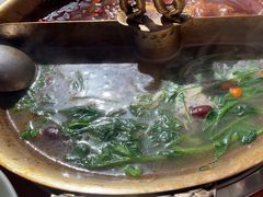 -小龙翻大江文化火锅(宽窄店)