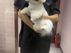 -FAELING PETS美天灵宠物(富力广场店)
