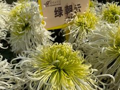 -清明上河园-迎宾门售票处