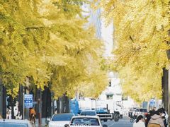 -四川大学(望江校区)