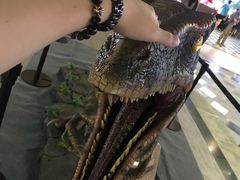 -金逸影城(中关村店)