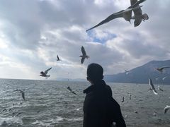 -滇池海埂公园