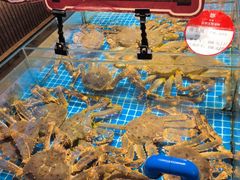 -连鹭海鲜·海肠捞饭·海胆饭(星海店)